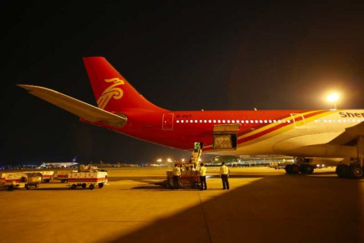 深圳航空宽体机空客A330执飞国际客改货航线 载货量提